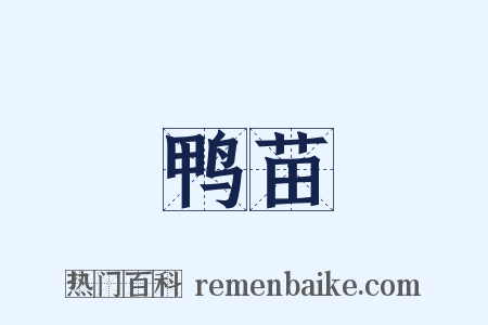 鸭苗是什么意思的图片